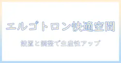 エルゴトロン ダブル モニターアームで実現する快適デスク環境:選び方と設置のコツ