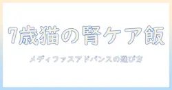 7歳頃からの腎臓の健康維持をキャットフードでサポートする方法|メディファスアドバンスを例にした選び方