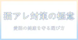 キャットフードとアレルギー対策の基本ガイド|愛猫の健康を守る選び方とポイント
