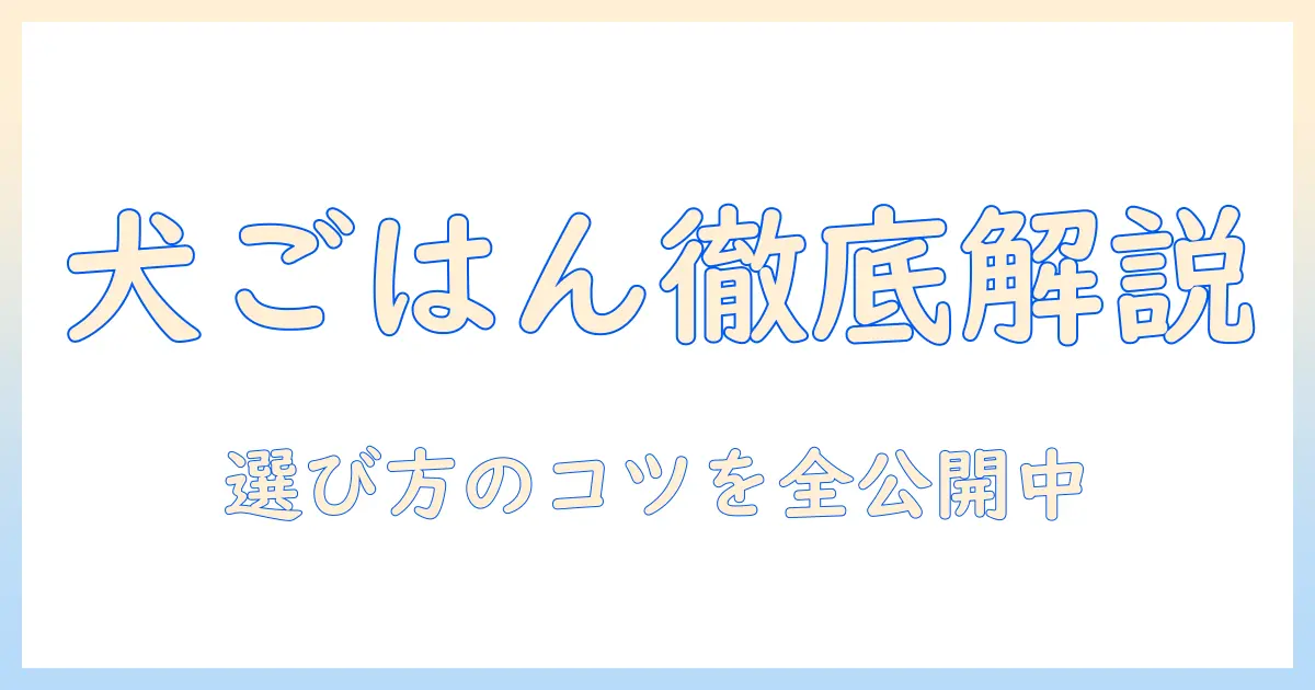犬のドッグフード選びを徹底解説：このこのごはんを選ぶべき理由とポイント
