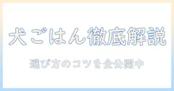 犬のドッグフード選びを徹底解説:このこのごはんを選ぶべき理由とポイント