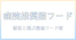 動物の健康を守る病院でおすすめのキャットフードと選び方