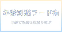ロニーの年齢に合わせたキャットフードの選び方