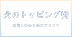 犬のドッグフードにトッピングをプラス!おすすめの組み合わせと選び方