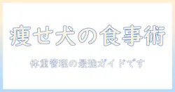 ドッグフード 減量用 おすすめガイド:犬の体重管理に最適な選び方と人気商品を徹底比較