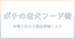 ポチの幸せを支えるシニア犬のドッグフード選び