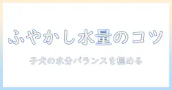子犬のためのドッグフードをふやかすときの水の量の目安とポイント