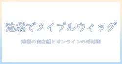 池袋でメイプルのウィッグを購入する前に知っておきたいポイント|ウィッグ情報と購入ガイド