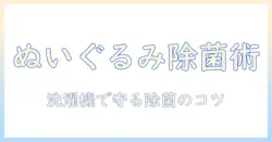 洗濯機でぬいぐるみを除菌する方法とポイント – 安全に清潔を保つコツ