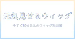 私が元気に見せるウィッグ選びとひゃん風スタイルの作り方|今すぐ試せる私のウィッグ活用術