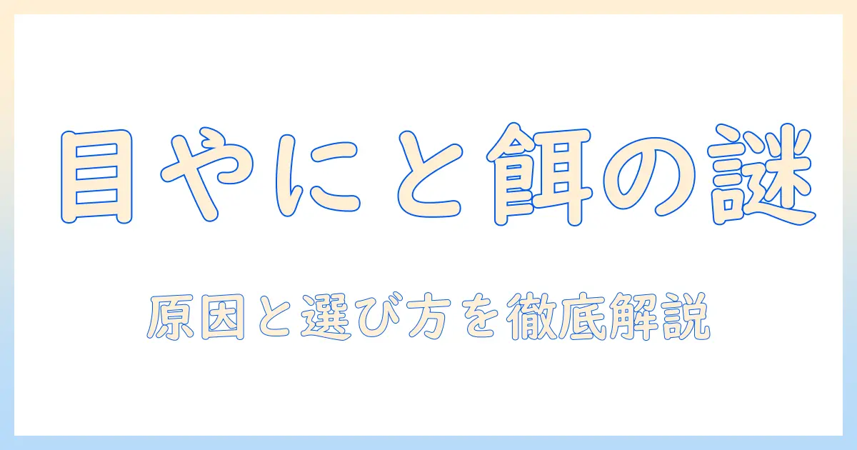 ドッグフードと目やにの関係を解説｜おすすめのドッグフードと選び方