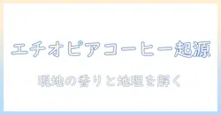エチオピアのコーヒーの原産地を解説:起源と栽培地を詳しく知る
