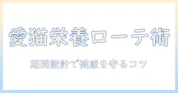 キャットフードのローテーションと期間のコツ:愛猫の栄養を守る最適な期間設計ガイド