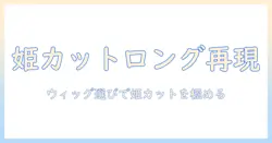 姫カットロングを再現するウィッグの選び方とスタイリング術