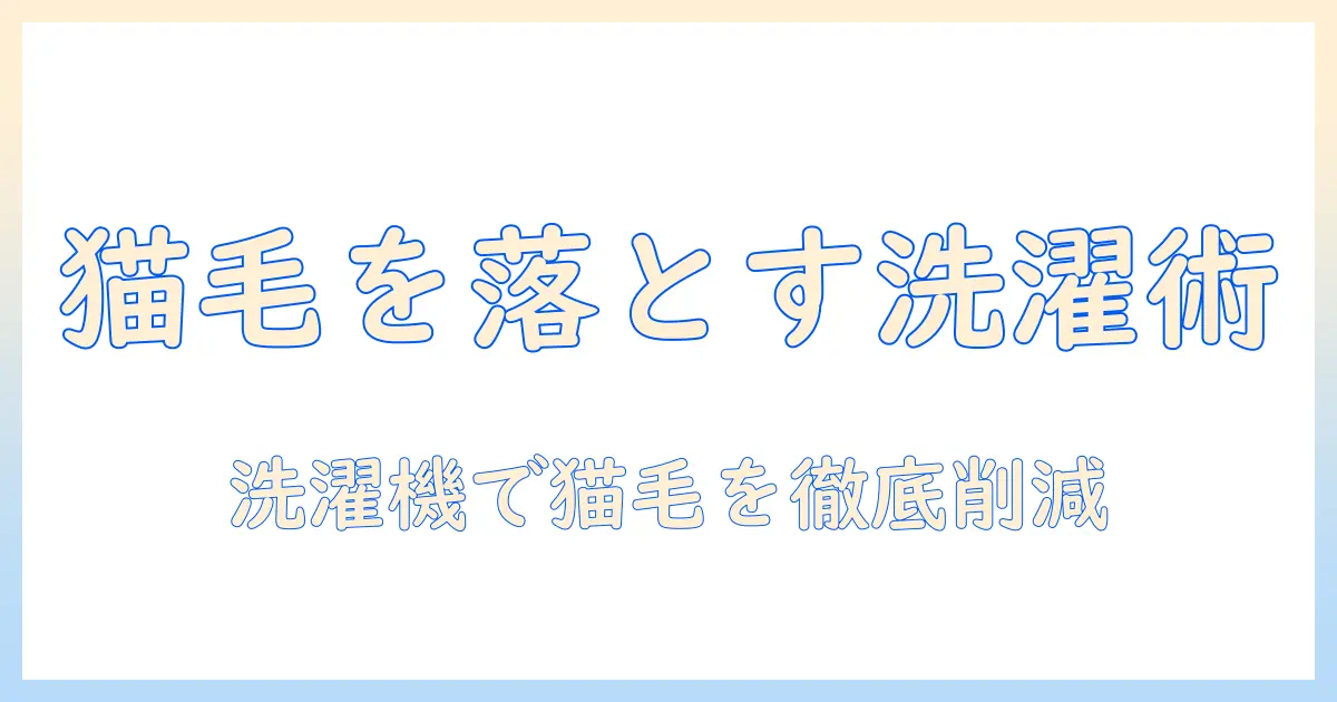 洗濯機で猫の毛取りを徹底解説：猫の毛を減らす洗濯のコツと対策