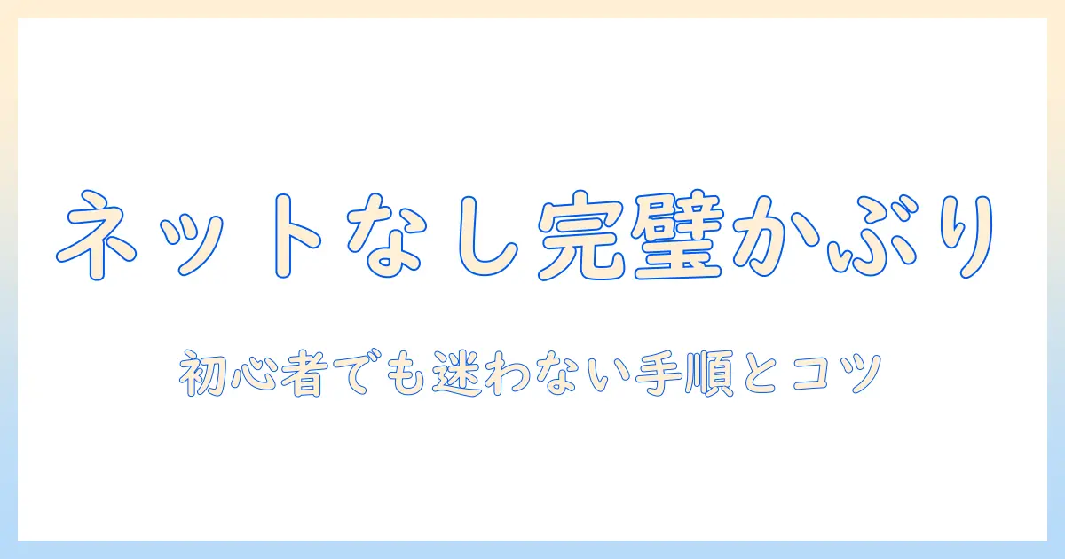 ウィッグのネットなしでのかぶり方を徹底解説｜初心者にもわかる手順とコツ