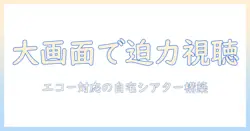 ビック画面で迫力視聴！エコー対応のデュアルプロジェクターでルームにブルーレイを映し出す完全ガイド
