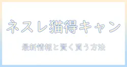 ネスレのキャットフードキャンペーン徹底解説:最新情報とお得に購入する方法