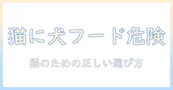 ドッグフードは猫に危険?猫の健康を守るための正しい選び方と注意点
