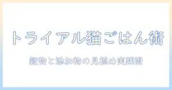トライアルで試せるオリジナルのキャットフードの選び方とおすすめ