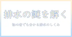 洗濯機の排水口・トラップ・構造を徹底解説：初心者でもわかる排水のしくみとメンテナンス