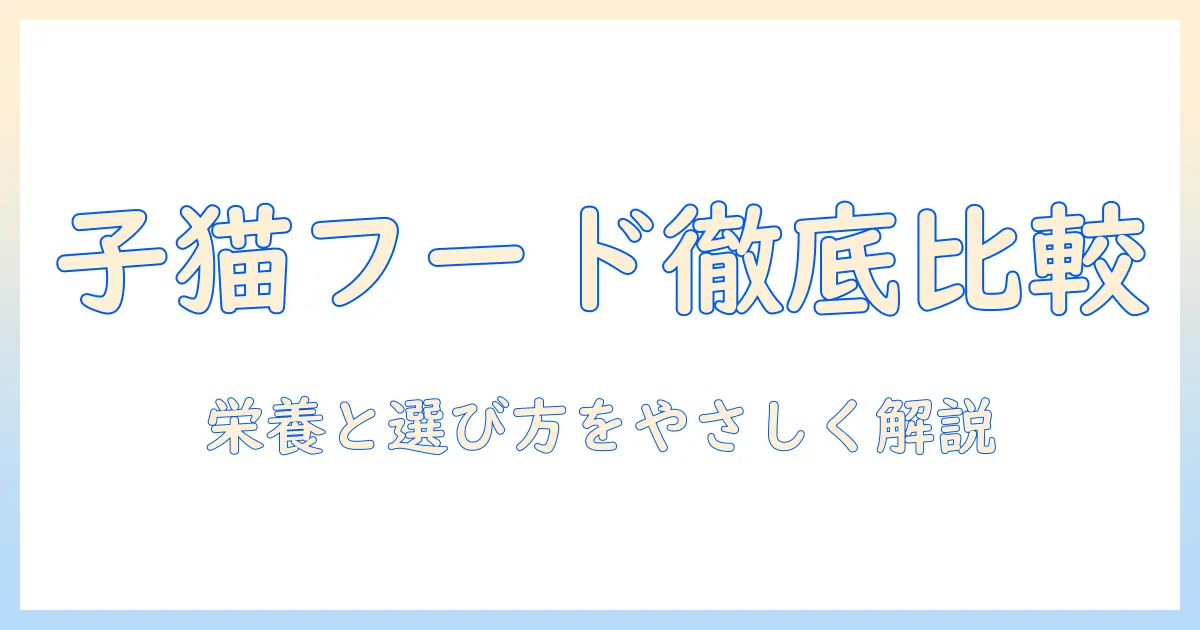 子猫におすすめのドライキャットフードを徹底比較!初心者でも分かる選び方と栄養ポイント