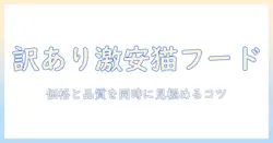 ドライ キャットフードの訳ありを激安で手に入れる方法と注意点