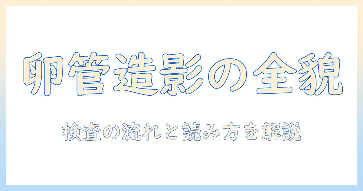 子宮卵管造影写真とは？検査の目的と流れ、写真の読み方を知りたい女性の会社員のための基礎ガイド