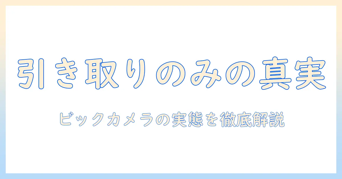 ビックカメラで洗濯機を選ぶときの引き取りのみサービスの実態と注意点