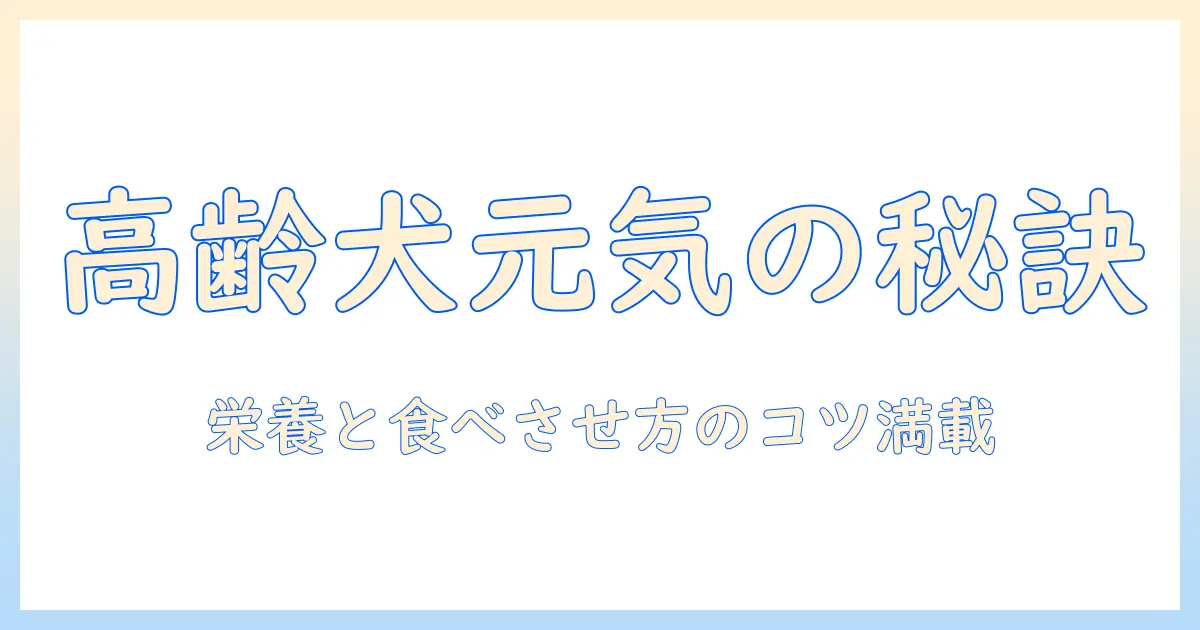 高齢犬のためのドッグフード選びで愛犬元気を保つコツ