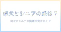ドッグフードの成犬用とシニア用の違いを徹底解説|選び方とポイント