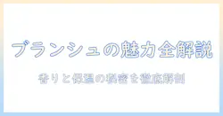 バイレードのブランシュを使ったハンドクリームの魅力と選び方