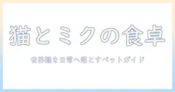 キャットフード doriko feat 初音 ミク の世界観を活かすペットライフガイド