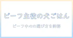 ドッグフードとビーフのおすすめを徹底比較!ビーフ主体のドッグフードを選ぶためのポイントとおすすめ商品