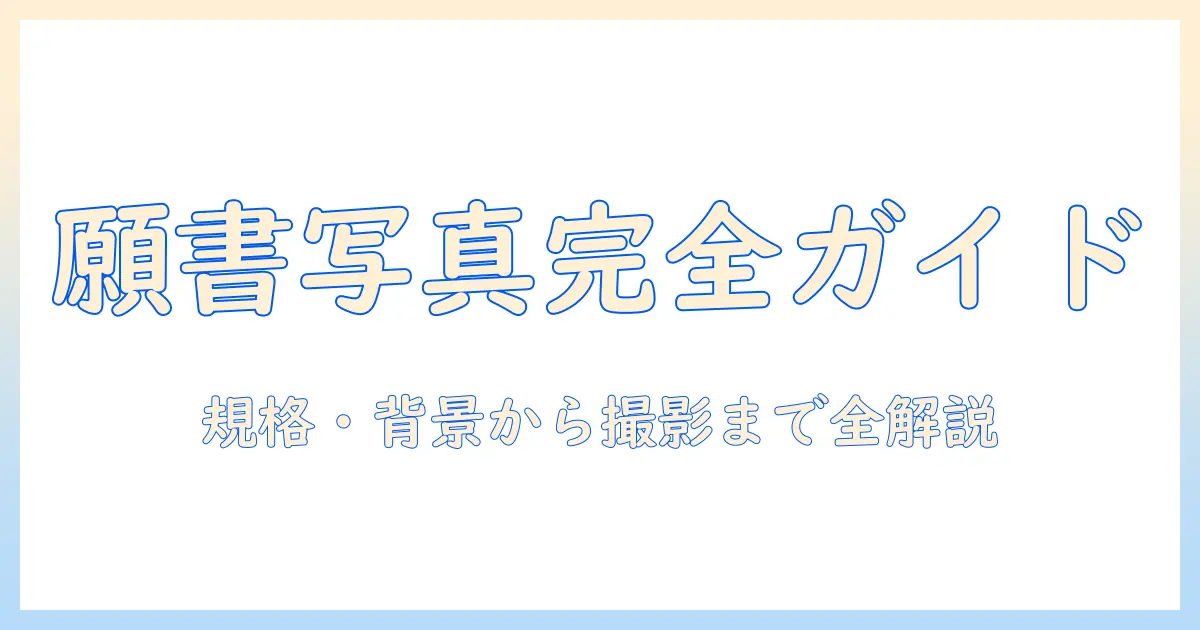 社会人 専門学校 願書 写真の完全ガイド:規格・背景・撮影のコツと準備の全手順