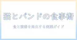 キャットフードの選び方とバンド活動を両立するための実用ガイド