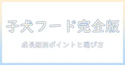 犬の子犬用ドッグフードはいつまで与えるべき？成長時期別の選び方と与え方ガイド