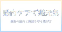 キャットフードと腸内環境の関係を解く:愛猫の健康を守る選び方と成分ポイント