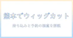 熊本でウィッグのカットを美容室で依頼する方法|持ち込み対応の実情と予約のコツ