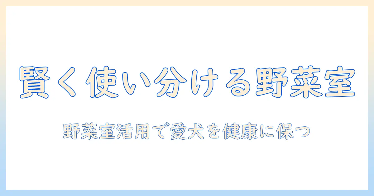 ドッグフードと野菜室を賢く使い分ける!愛犬の健康を守る食事のコツ