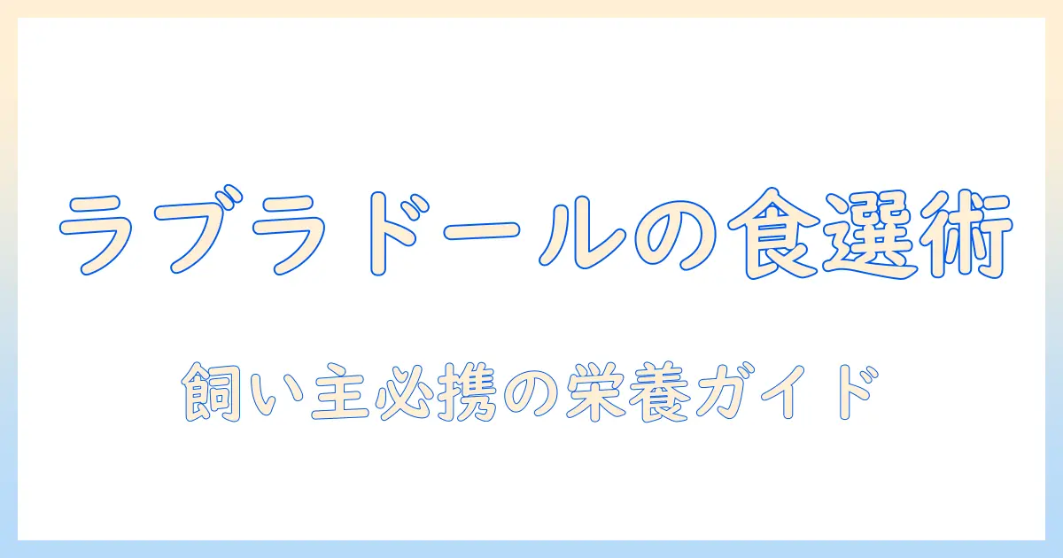 ラブラドールの飼い主が知っておくべきドッグフード選びとブログ運用のコツ