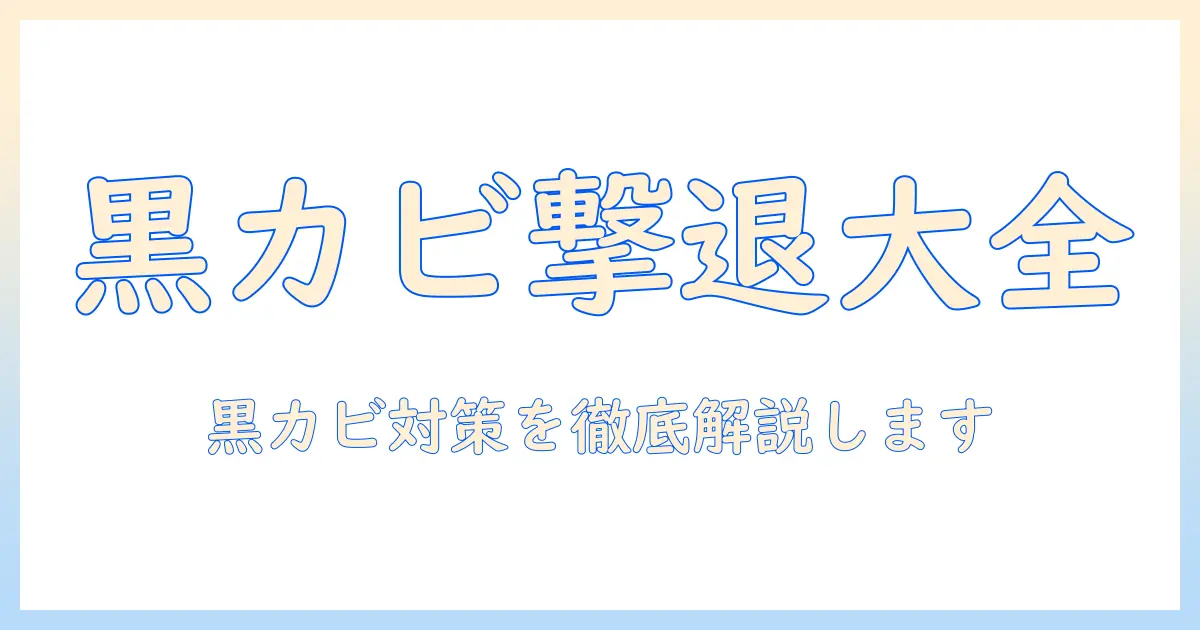 ドラム式洗濯機の黒カビを掃除して予防する方法｜洗濯機の黒カビ対策を徹底解説