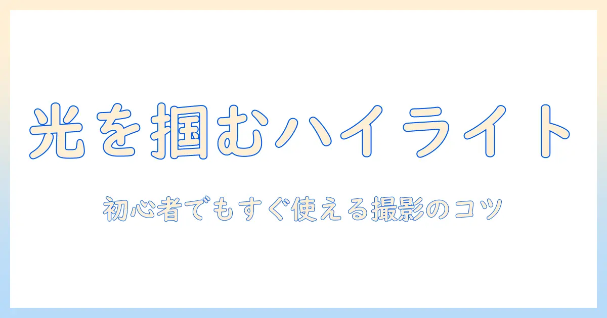 ハイ ライト おすすめ 写真：初心者でも抑える撮影コツと厳選作例集