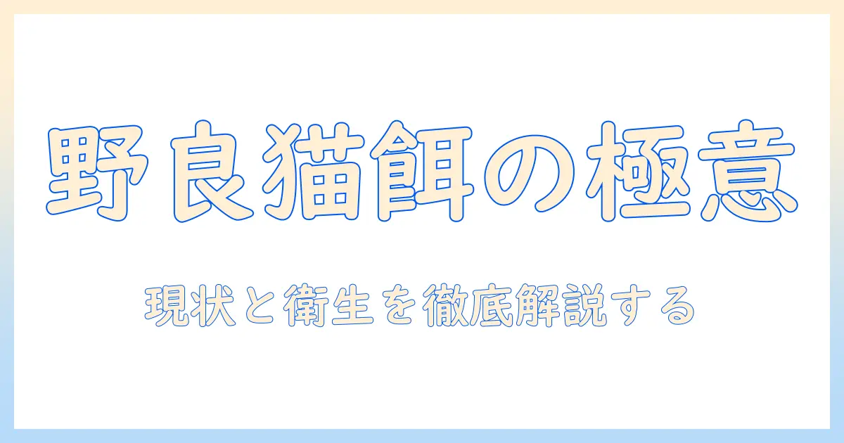 野良猫の餌とキャットフードの選び方と注意点