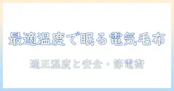 電気毛布の何度設定を知る！適切な温度の目安と安全・節電の使い方ガイド