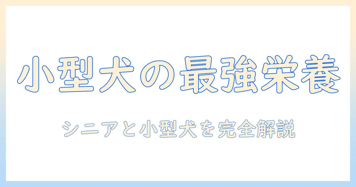 小型犬とシニア犬におすすめのドッグフード徹底ガイド