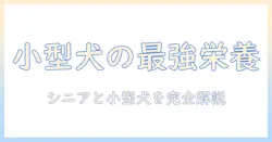 小型犬とシニア犬におすすめのドッグフード徹底ガイド