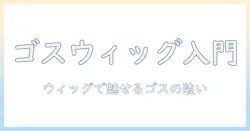 ウィッグとゴスロリで作る美しいコスプレファッション入門