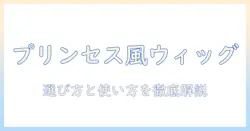 ディズニーのプリンセス風ウィッグを選ぶコツと使い方徹底ガイド