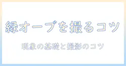 写真で緑のオーブを捉えるコツと現象解説